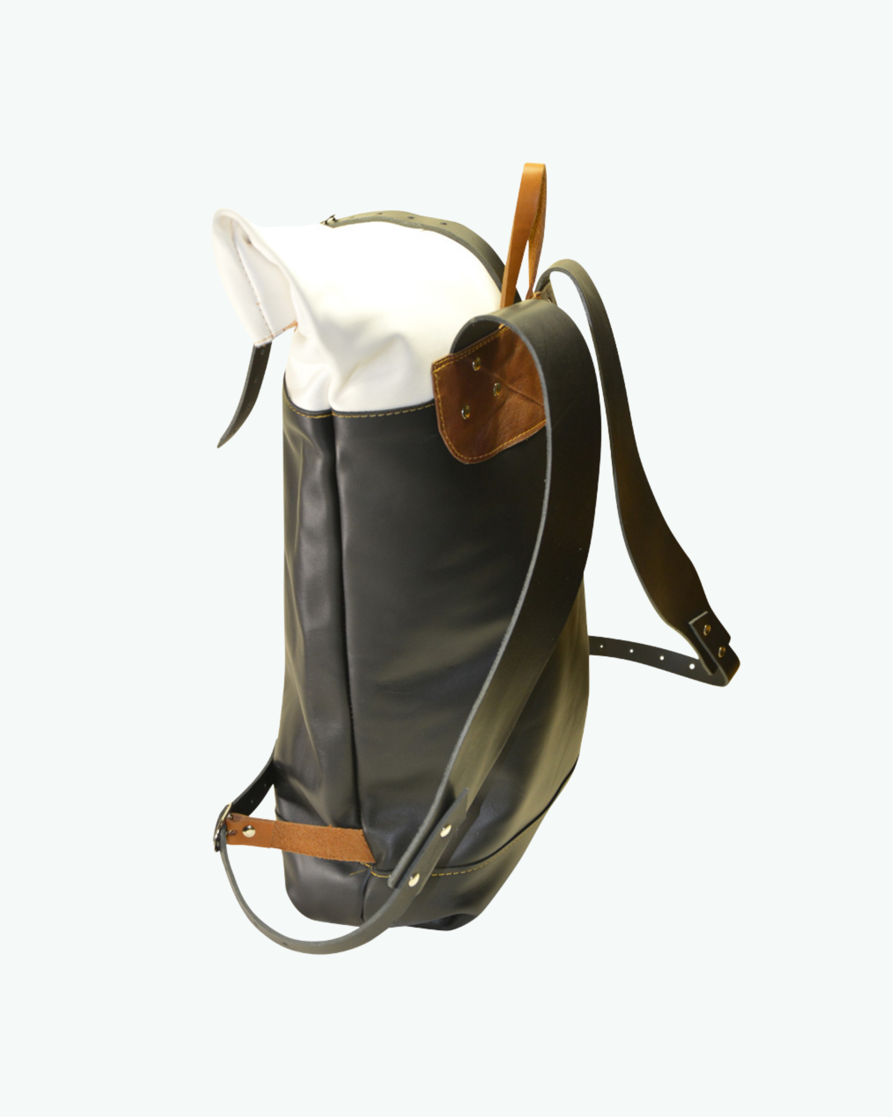 Zebra S20 Roll Top | Backpack